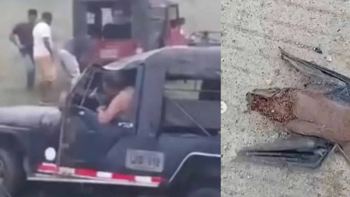 BAT habría entrado en la cabina de un Willys, que giró mientras transportaba 21 estudiantes

 – Tinta clara