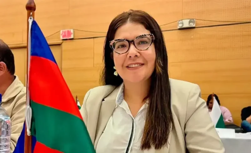 Capturan al alcalde de Cajibío, Cauca, Diana Carolina Cabanillas, por presuntas irregularidades contractuales: el enjuiciamiento hizo la aprensión

 – Tinta clara
