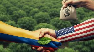 Colombia está «cortada» por los Estados Unidos en la lucha contra las drogas – 

 – Tinta clara