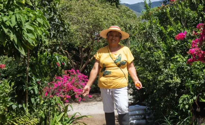La sabiduría innata de un campesino en Nariño la llevará al lejano Japón, con su exitosa experiencia del ‘bosque comestible’

 – Tinta clara