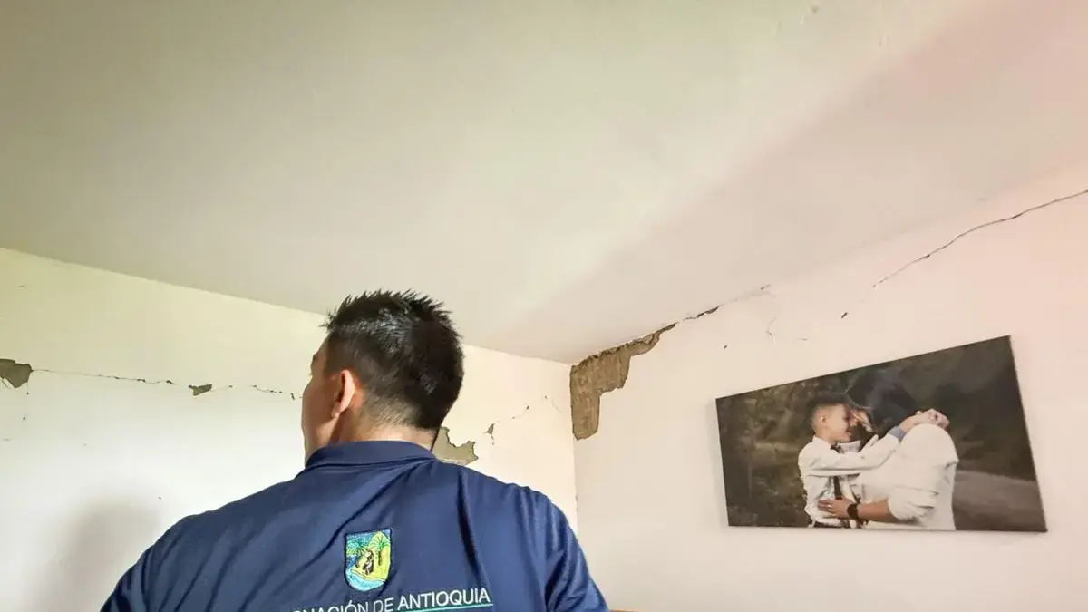 Las autoridades hacen presencia en los municipios afectados por un terremoto

 – Tinta clara