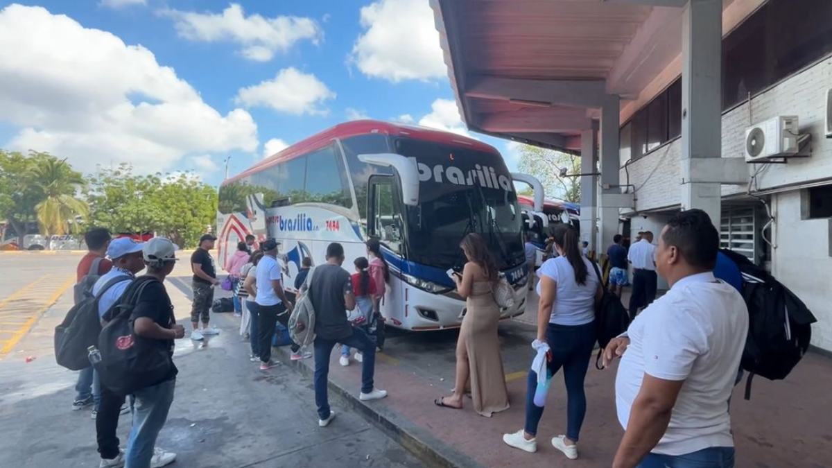 Motores Express Brasilia Lights para la Semana del Receso

 – Tinta clara