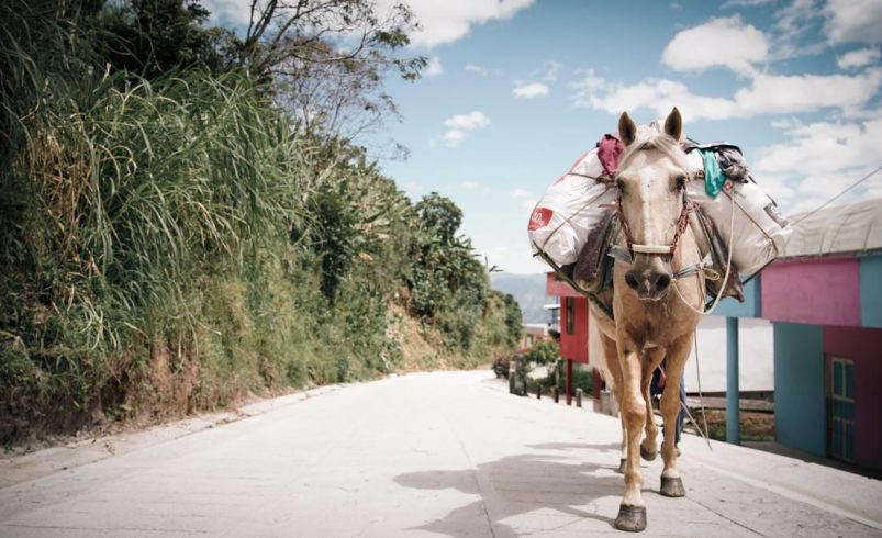 ‘Peace Community Roads’, el mayor compromiso con la infraestructura del gobierno de Petro, tiene una ejecución total que no alcanza el 10%

 – Tinta clara