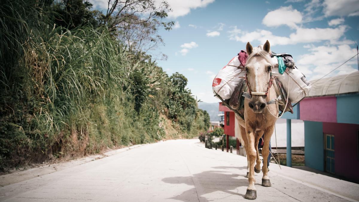 ‘Peace Community Roads’, el mayor compromiso con la infraestructura del gobierno de Petro, tiene una ejecución total que no alcanza el 10%

 – Tinta clara