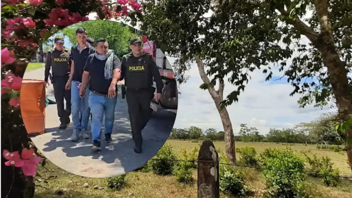 Secuestraron y robaron 43 ganado por $ 903 millones; Este fue un rescate

 – Tinta clara