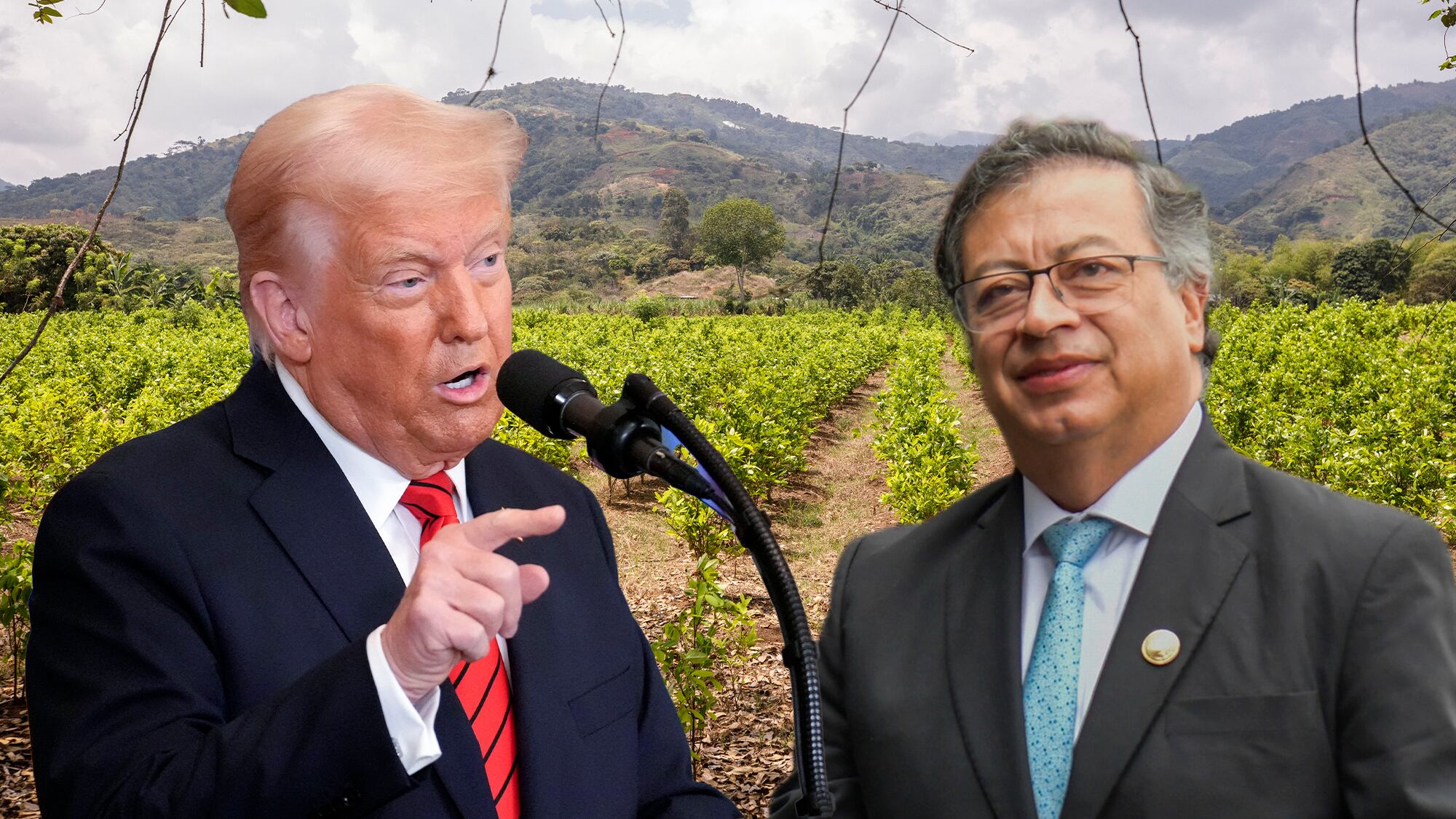 Estados Unidos describe a Colombia para la pelea anti -flog – 

 – Tinta clara