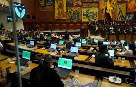 Corte de Ecuador suspende temporalmente el referéndum de Daniel Nemaa para un constituyente – 

 – Tinta clara