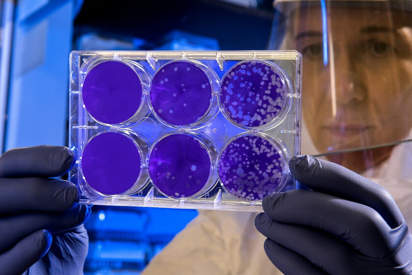 Es la clave para terminar con las superbacterias

 – Tinta clara