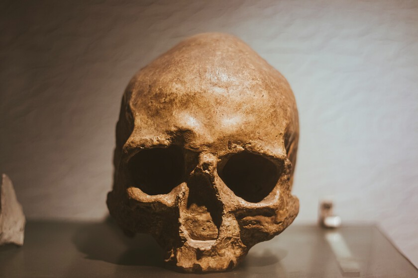 Un millón de años de años sugiere que el ‘Homo sapiens’ no proviene de África

 – Tinta clara
