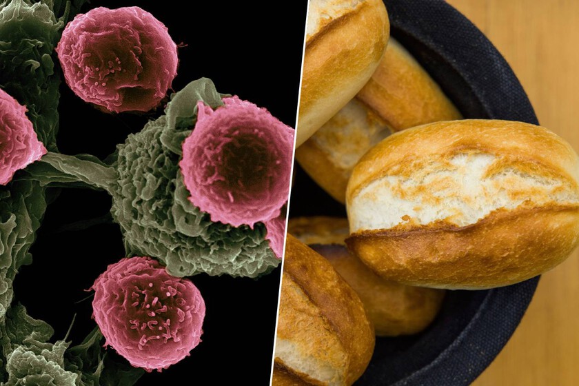Un estudio acaba de correlacionarlos con un mayor riesgo de cáncer

 – Tinta clara