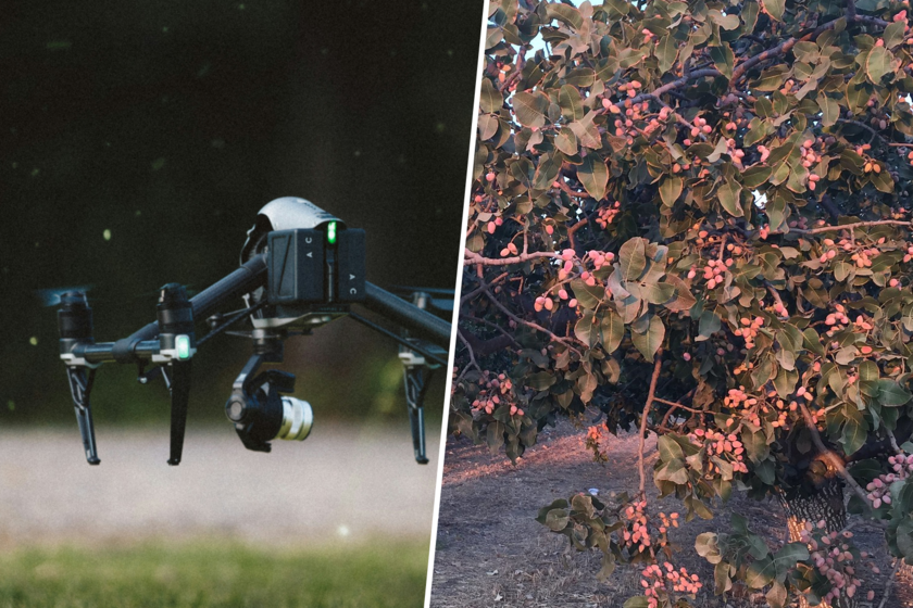 Europa mira a España para entender la agricultura del futuro

 – Tinta clara