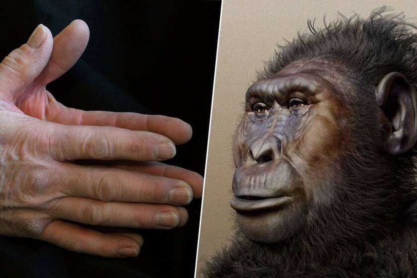 las manos de los humanos vinieron antes que los humanos

 – Tinta clara
