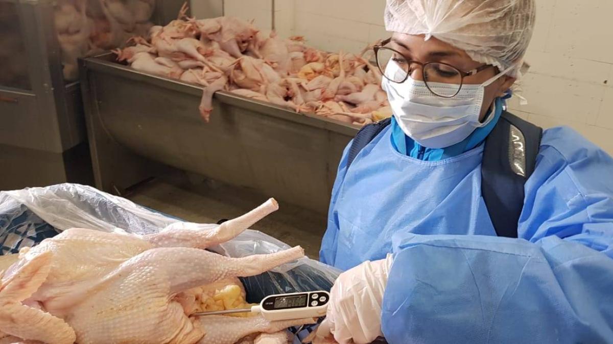 Propietarios de pollos El Bucanero ingresan al exigente mercado japonés con carne fresca

 – Tinta clara