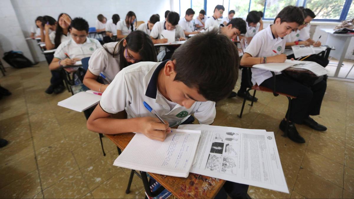 La tasa de abandono en los colegios oficiales se mantuvo en el 3,5% en 2024, el mismo porcentaje que en 2023

 – Tinta clara