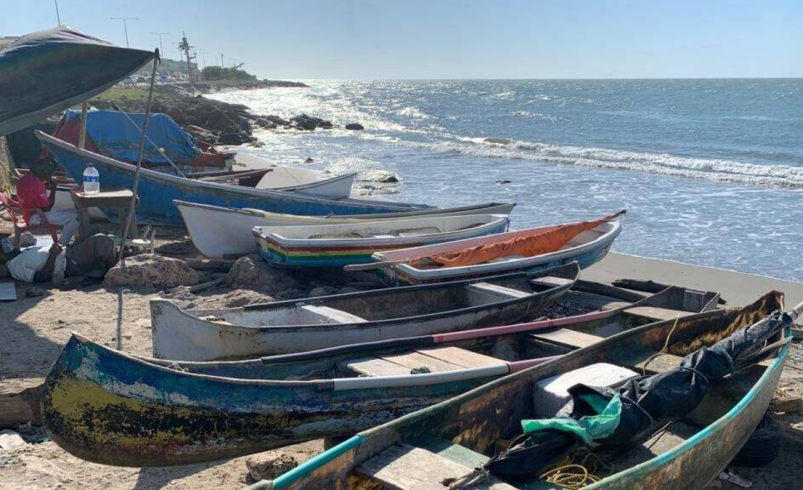 Dos millones de frios sembrarán para aumentar la pesca y en respuesta a la crisis de que los pescadores viven para la contaminación

 – Tinta clara