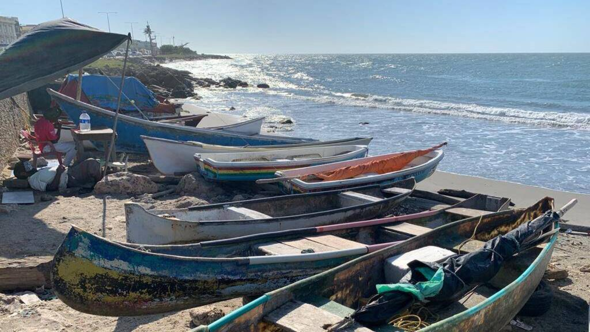 Dos millones de frios sembrarán para aumentar la pesca y en respuesta a la crisis de que los pescadores viven para la contaminación

 – Tinta clara