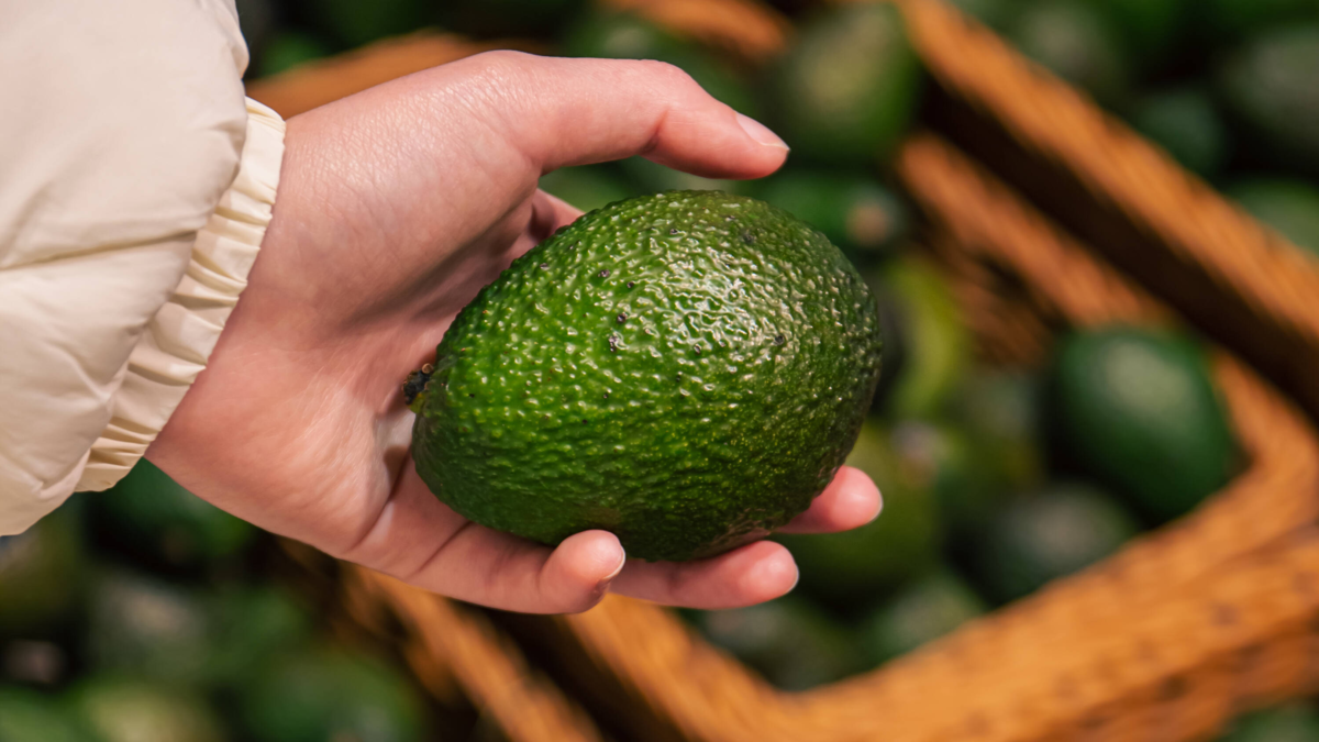Colombia abrió la primera planta viable de aguacate de masa para exportaciones mundiales

 – Tinta clara