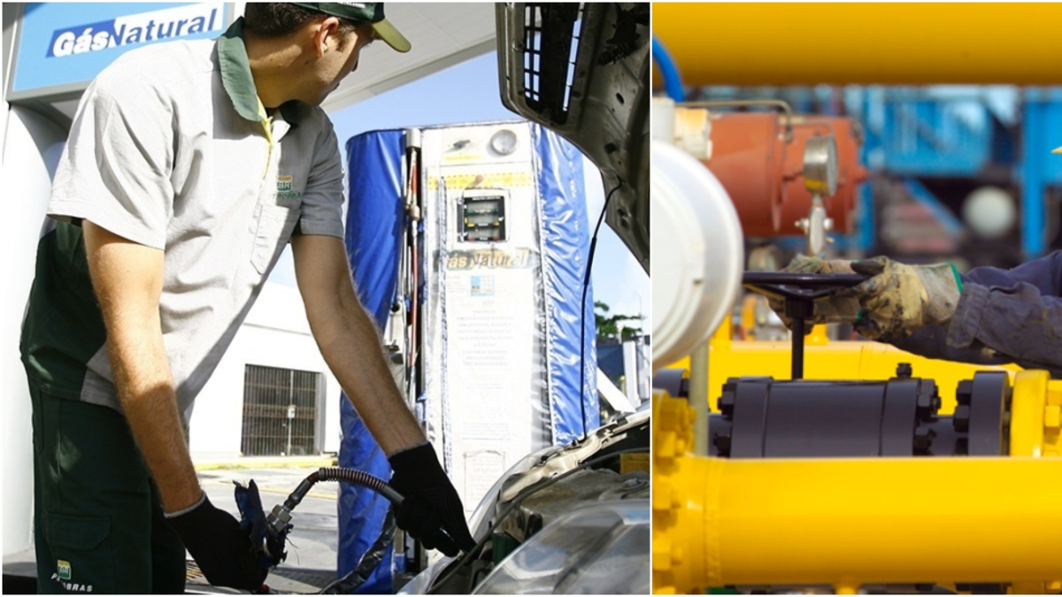 ¿Por qué podría aumentar el gas vehicular un 50%? Los gobernadores denuncian que Meta y Casanare se quedarían sin suministro por la decisión de Ecopetrol

 – Tinta clara
