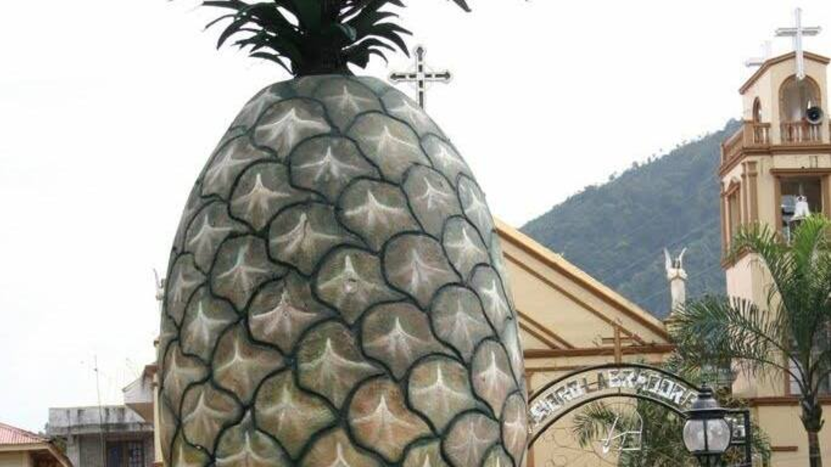 LeBrija, capital Piñera de Colombia, revelará el secreto para convertir su fruta insignia en su feria nacional

 – Tinta clara
