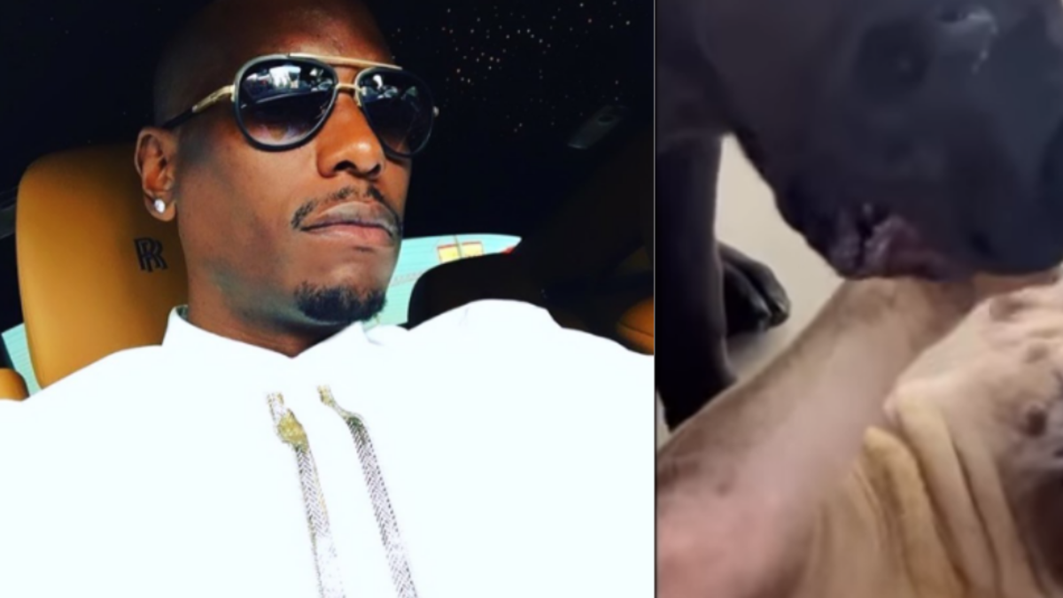 Tyrese Gibson, un conocido actor de la franquicia ‘Fast and Furious’

 – Tinta clara