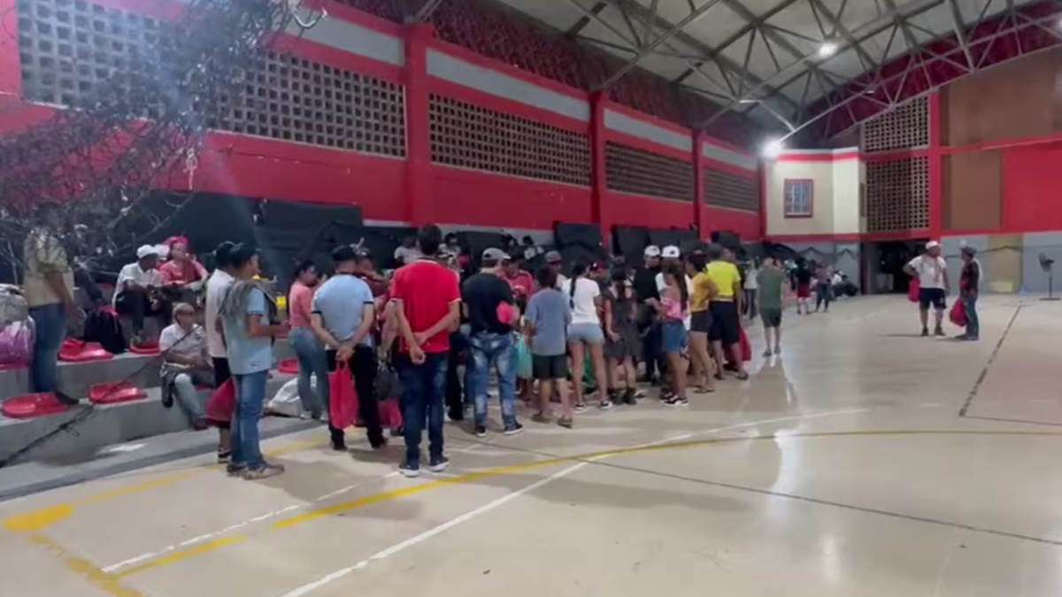 136 personas desplazadas por disputa entre Eln y ‘Gulf Clan’

 – Tinta clara