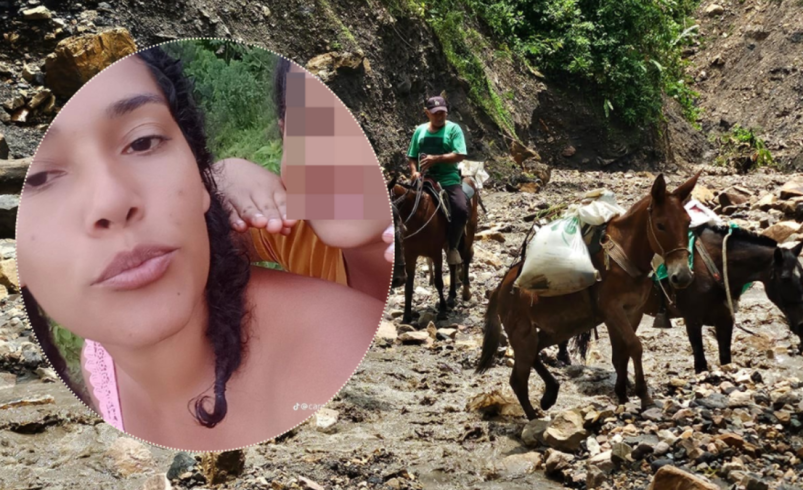 Esta es Carmen Díaz, mujer que fue arrastrada por un barranco en Páez (Boyacá) mientras cruzaba a caballo para recoger a su esposo e hijos: así va la búsqueda

 – Tinta clara