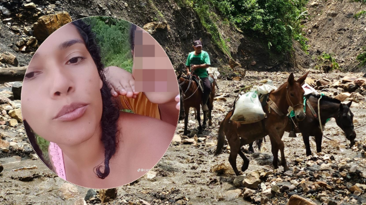 Esta es Carmen Díaz, mujer que fue arrastrada por un barranco en Páez (Boyacá) mientras cruzaba a caballo para recoger a su esposo e hijos: así va la búsqueda

 – Tinta clara