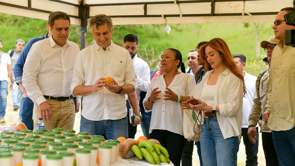 Grupo Éxito incrementa en 20 toneladas mensuales la compra de productos agrícolas de 75 familias del Valle del Cauca que optaron por cultivos legales

 – Tinta clara