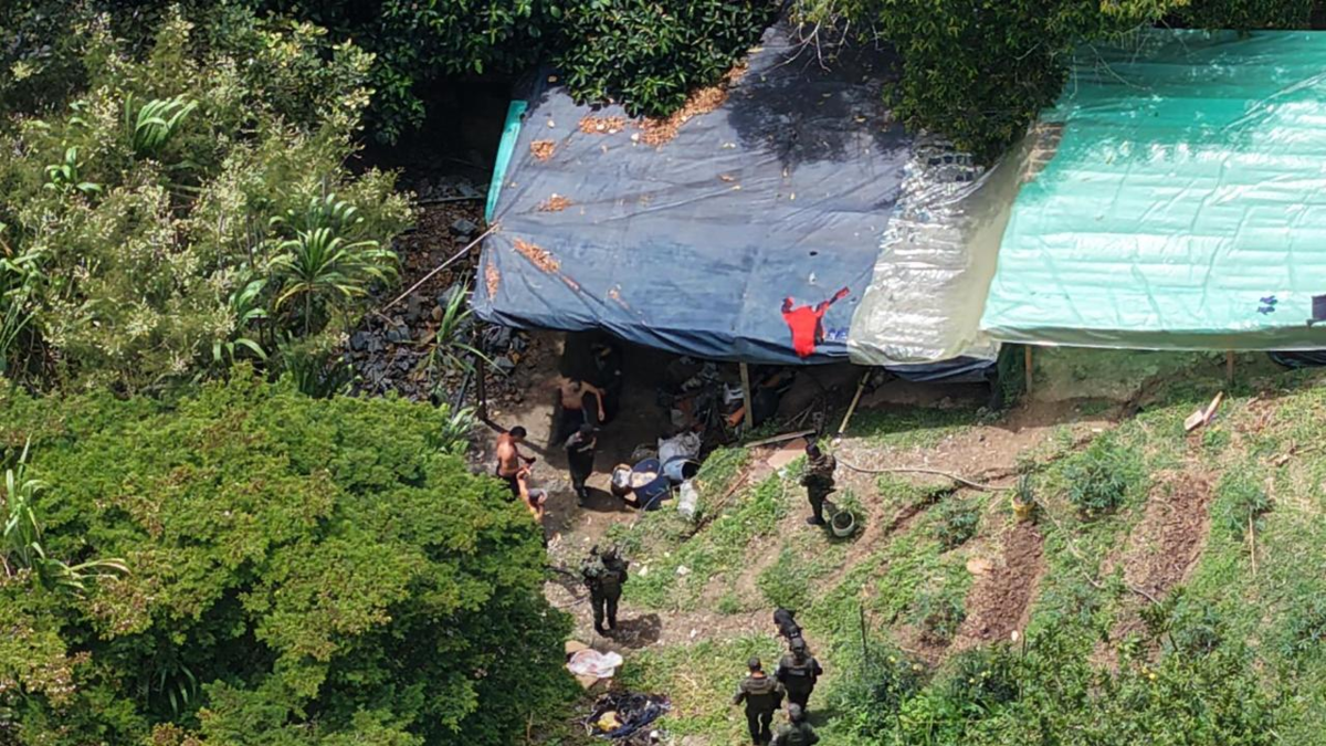 Así fue el operativo de captura y protección ambiental

 – Tinta clara