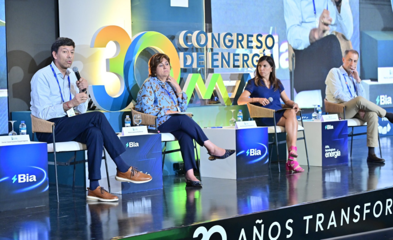 Grupo Aval y Davivienda advierten sobre riesgos que afectan el financiamiento de proyectos eléctricos

 – Tinta clara