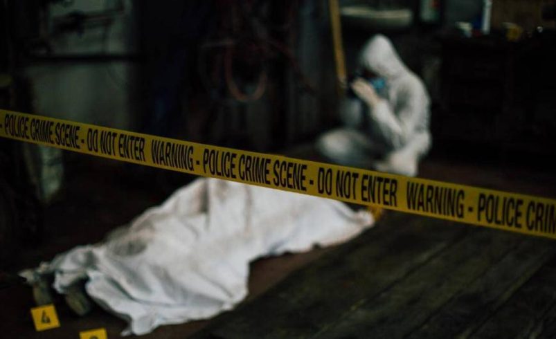 Aterrador caso sacude a Ibagué, donde un hombre asesinó a su hermano en medio de una reunión familiar: el padre resultó herido

 – Tinta clara