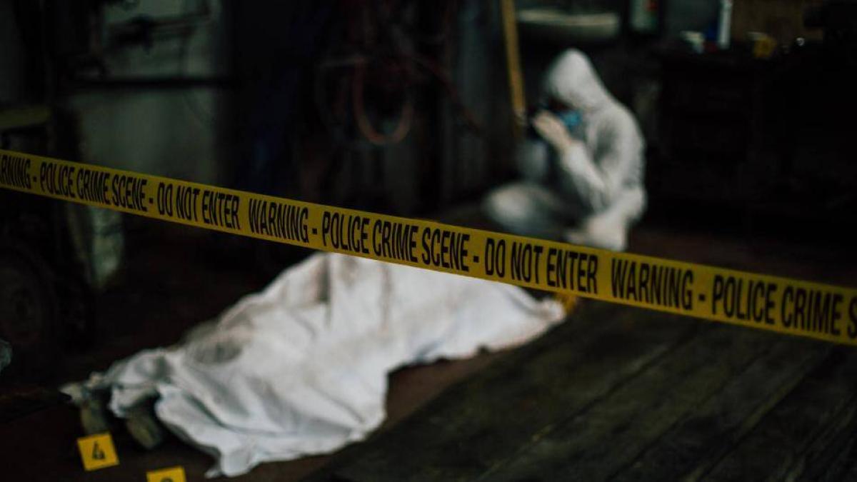Aterrador caso sacude a Ibagué, donde un hombre asesinó a su hermano en medio de una reunión familiar: el padre resultó herido

 – Tinta clara