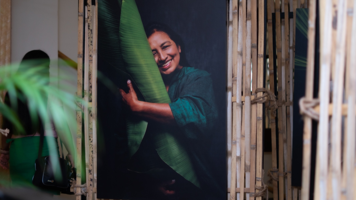 Cali disfrutó de una fusión de arte, cultura y naturaleza, al estilo de ’29 grados’, propuesta que cautivó durante la Semana de la Biodiversidad

 – Tinta clara