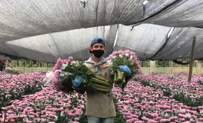 Florverde Flores Sostenibles, con 29 años de experiencia, reduce el uso de pesticidas en un 63% y certifica más de 9.000 hectáreas en Colombia y Ecuador

 – Tinta clara