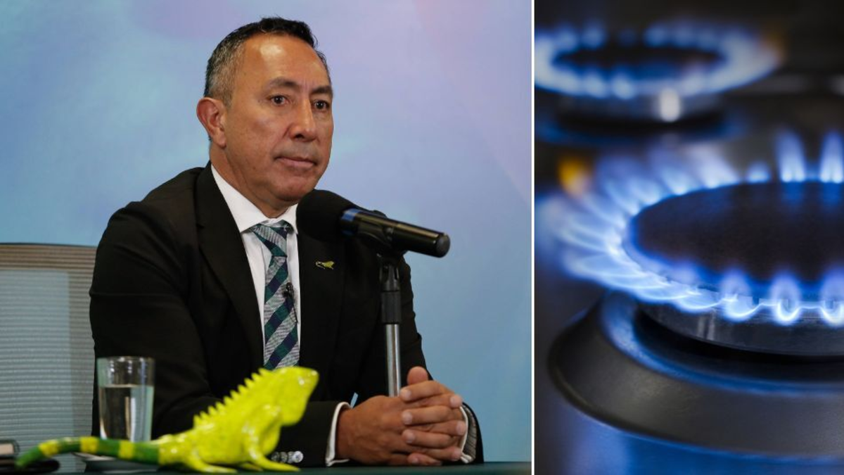 Las centrales térmicas recibieron sólo el 35% del gas que necesitan para evitar la racionalización durante este fin de semana largo ceremonial

 – Tinta clara