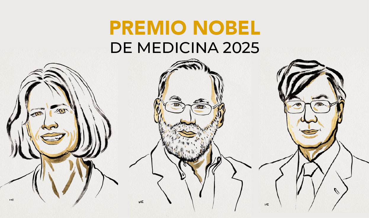 Otorgan el Premio Nobel de Medicina 2025 por descubrir cómo se controla el sistema inmune – 

 – Tinta clara