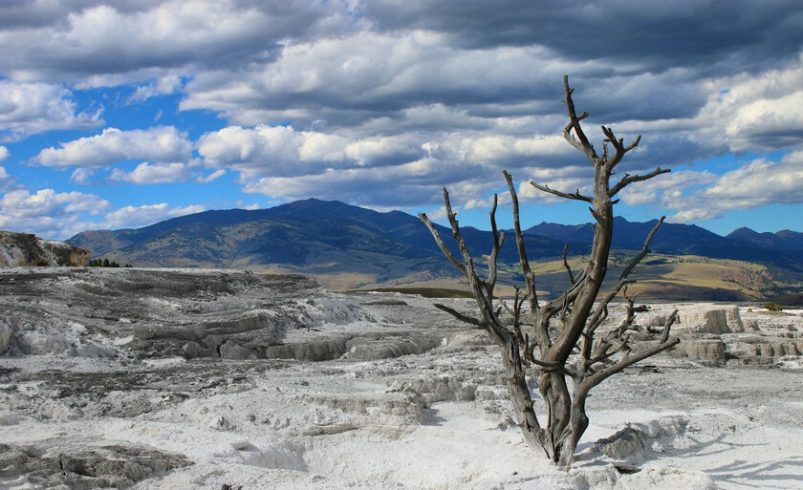 la vida no debería existir

 – Tinta clara