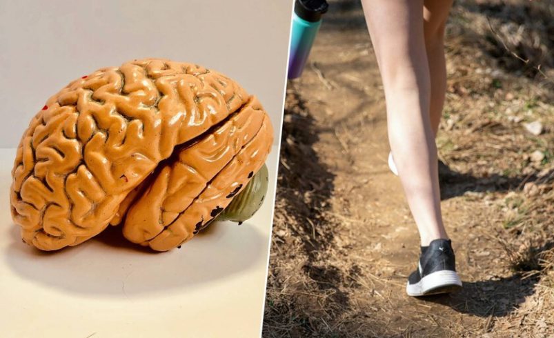 Unos pocos pasos al día son suficientes para detener la chispa que enciende la enfermedad.

 – Tinta clara