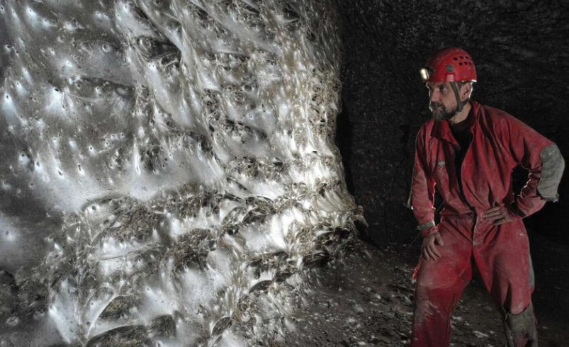 Una telaraña de 100 metros cuadrados donde conviven en paz dos especies enemigas

 – Tinta clara