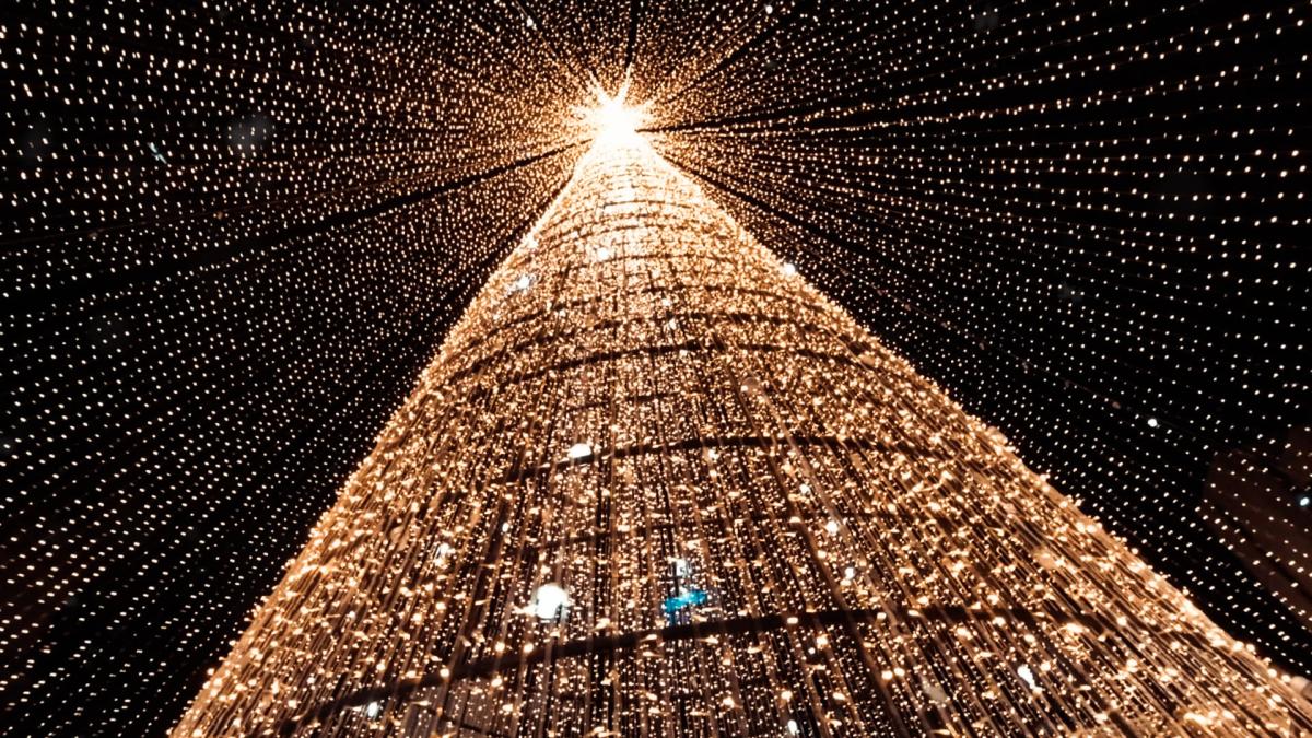 ¿Qué pasó con el alumbrado navideño en Bucaramanga? Así fue el polémico contrato con una empresa de Antioquia que se habría beneficiado con 700 millones

 – Tinta clara