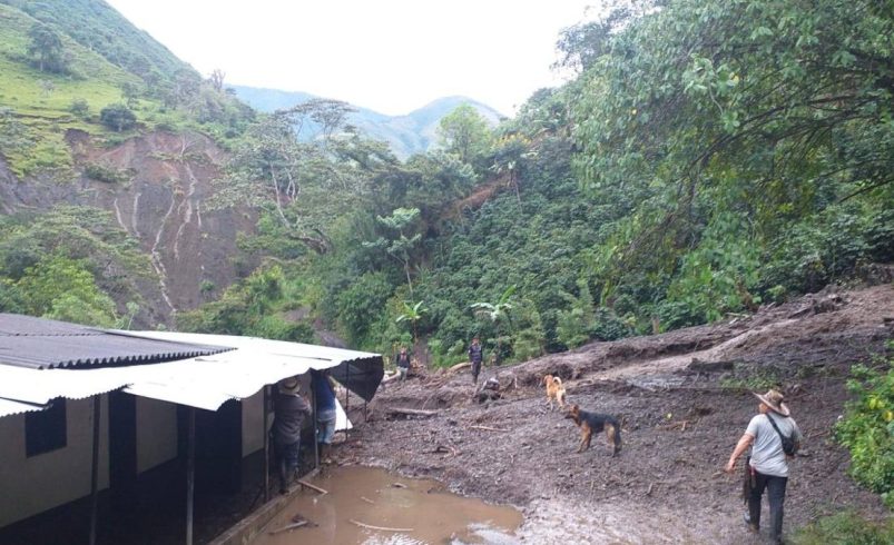 39 muertes han dejado 292 movimientos masivos durante 2025

 – Tinta clara