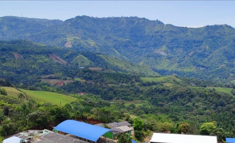 En Cuatro Esquinas denuncian presiones armadas que paran labores en El Tambo

 – Tinta clara