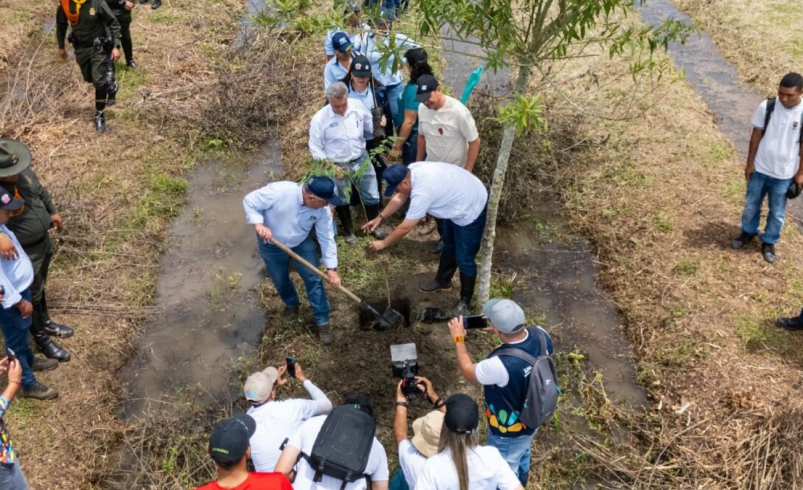 ¿Cómo lograr que el Valle del Cauca tenga un millón de árboles más? Sienta las bases y el CVC te dará los gigantes: este es el proceso

 – Tinta clara