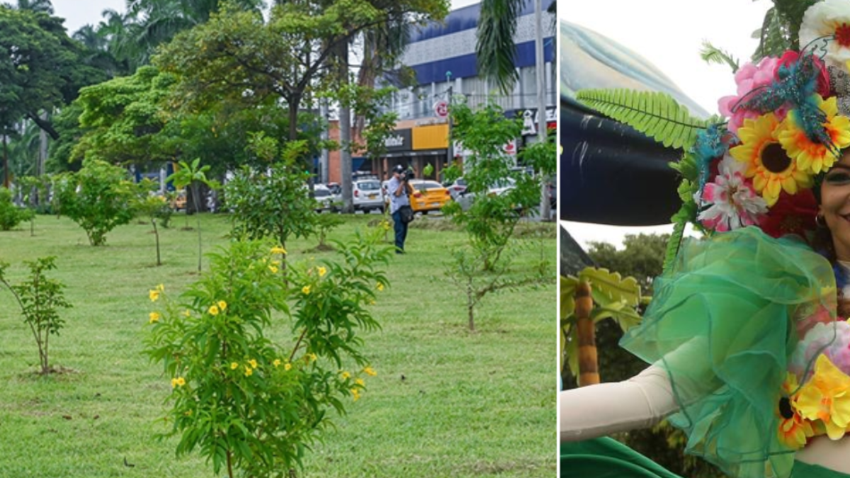 Alcaldía asegura que el evento no afectará el corredor verde ni implicará la tala de árboles

 – Tinta clara
