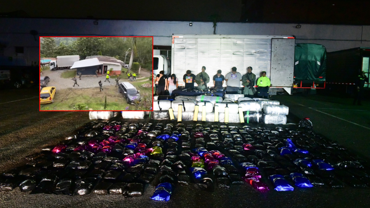 Seis toneladas de marihuana fueron incautadas en un centro de acopio de Girardota que abastecía las ‘plazas’ del barrio Antioquia, en Medellín

 – Tinta clara