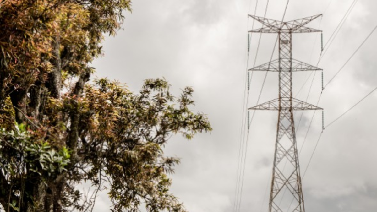 Western Energy Company reportó ataque a infraestructura de alta tensión

 – Tinta clara