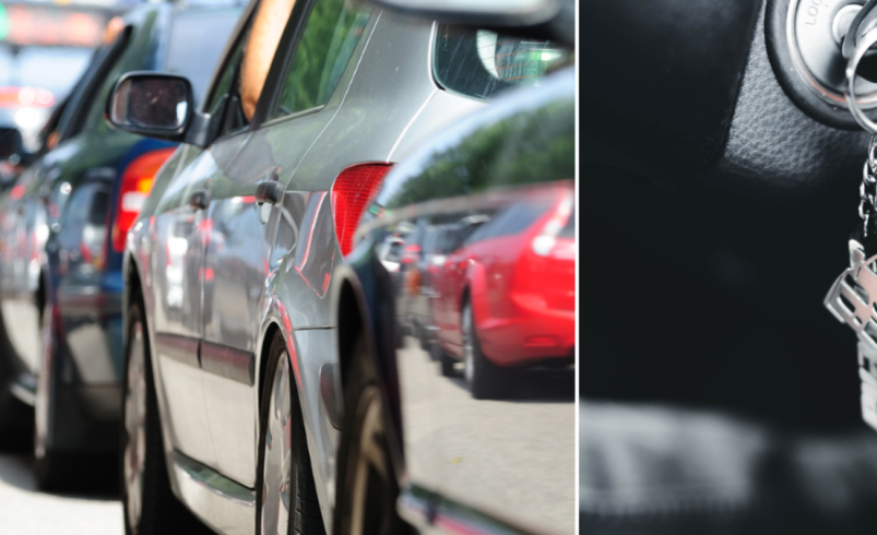 Detalles del día y actividades para los visitantes.

 – Tinta clara