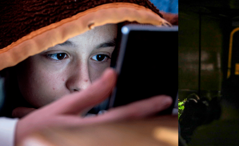 Habrá más de 3.600 denuncias de violencia sexual contra menores en 2025

 – Tinta clara