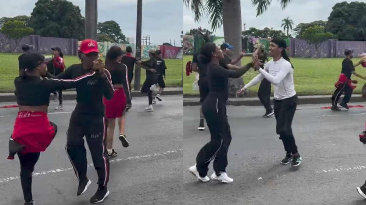 Ensayo del ‘Salsódromo’ de Cali terminó en emergencia por ataque de abejas

 – Tinta clara