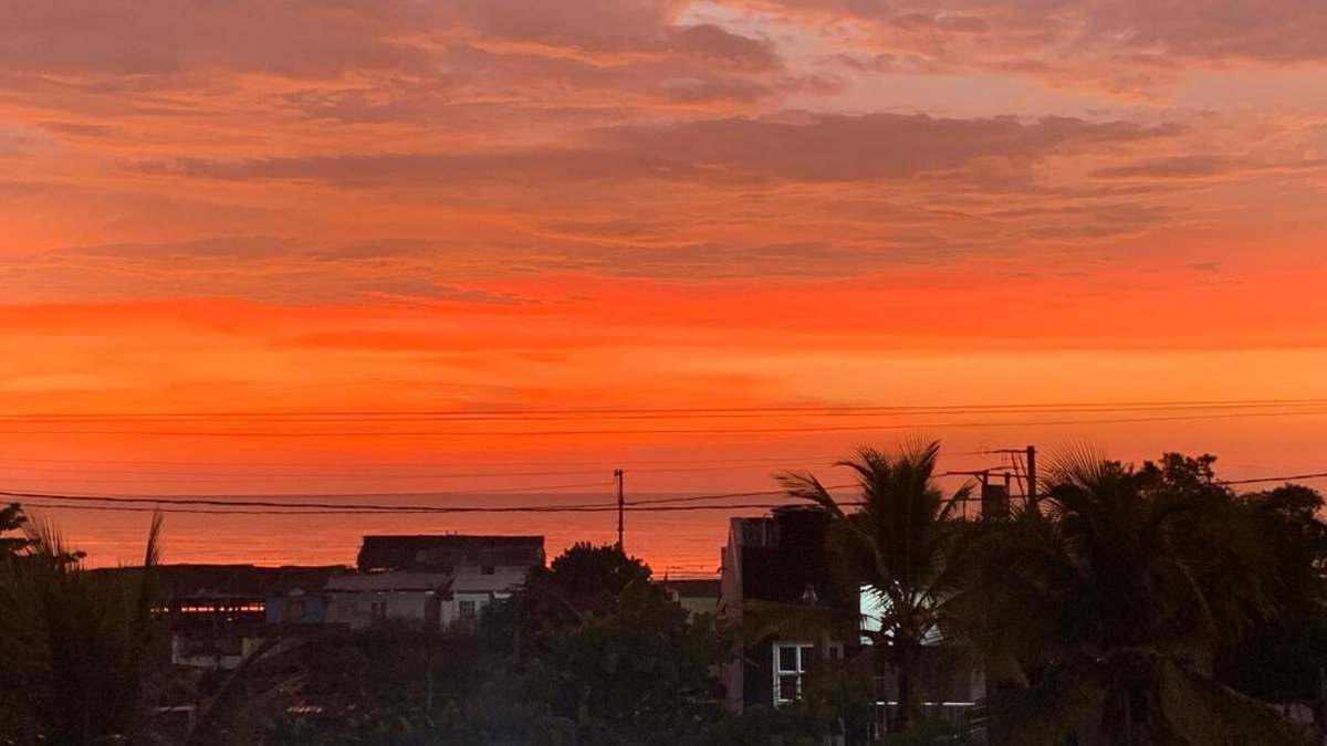 Cartagena-Canadá: vuelos directos con Toronto y Montreal, en temporada de invierno, proyectan superar los 900.000 turistas: el verano caribeño seduce

 – Tinta clara